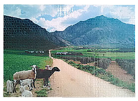 puzzle personalizado 2000 piezas de carton